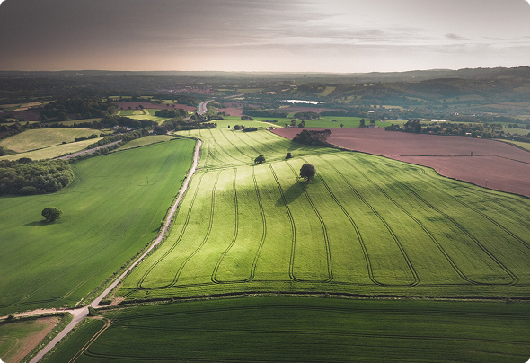 صورة من نحن